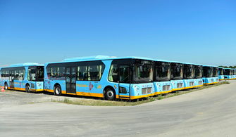 寒冬中的突围 海格客车如何从“小趋势”中寻觅小微型客车的春天